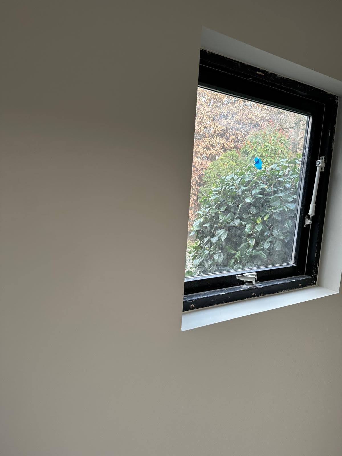 Home Renovation & Interior Fit-Out